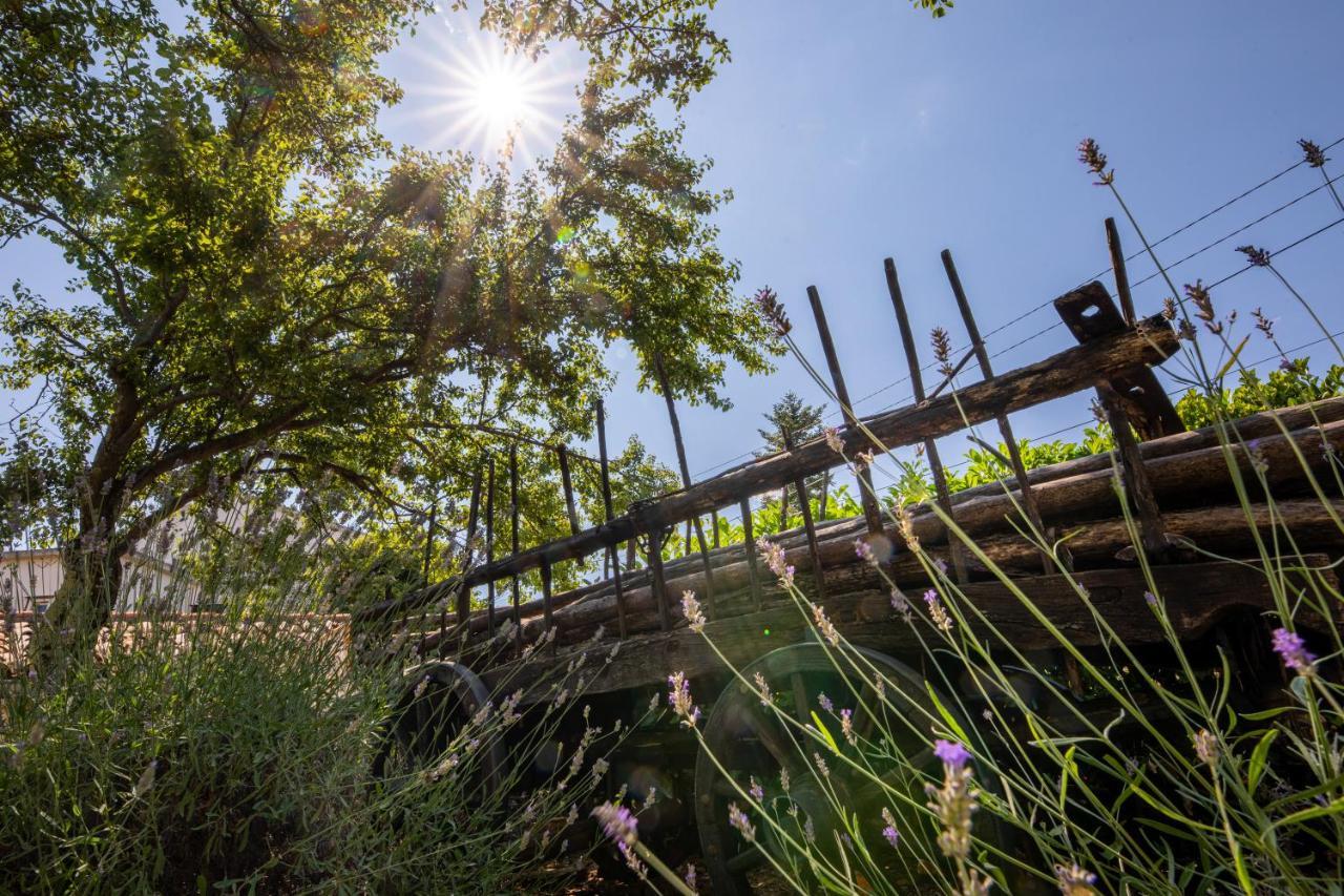 Villa Lindraze Dobrinj Bagian luar foto